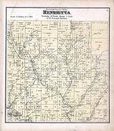 Henrietta Township, Pine River, Soules Creek, Woodstock, Richland County 1874